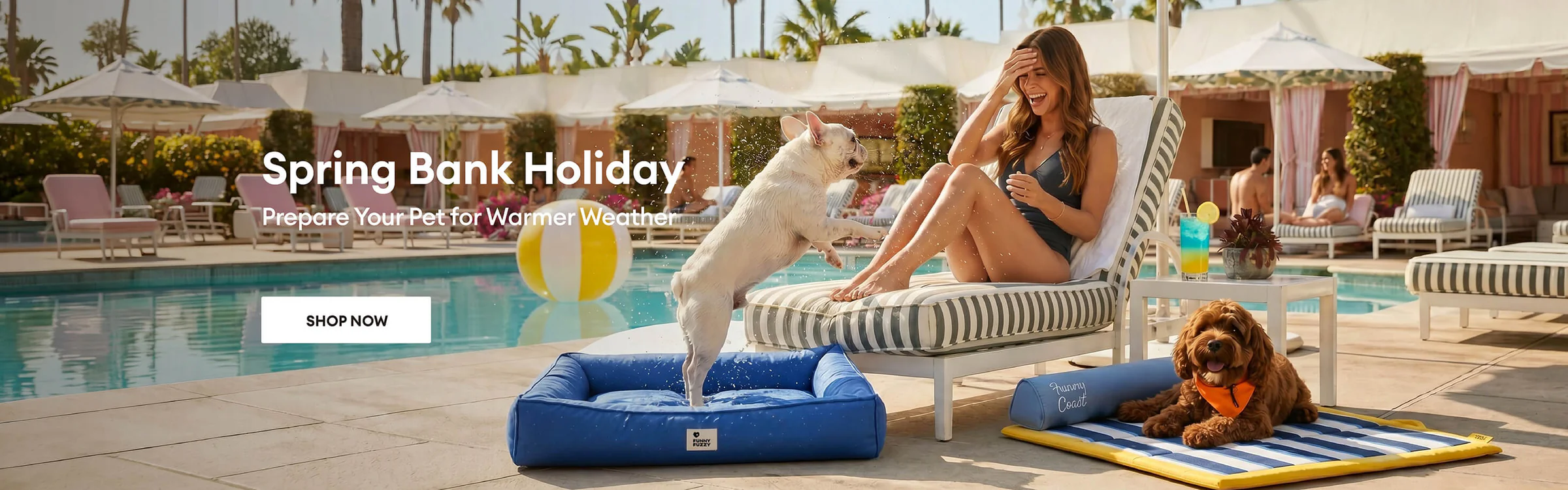 Extraordinary Comfort For Your Pets